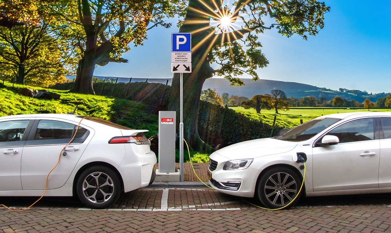 Electric cars at the charging post